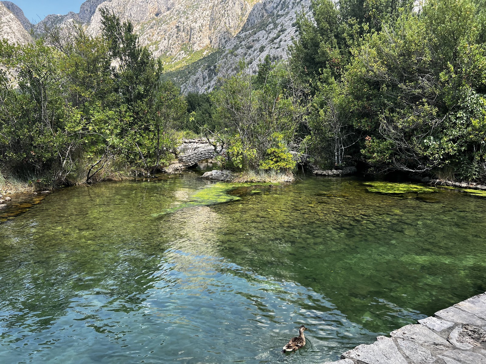 Stari Mlini
